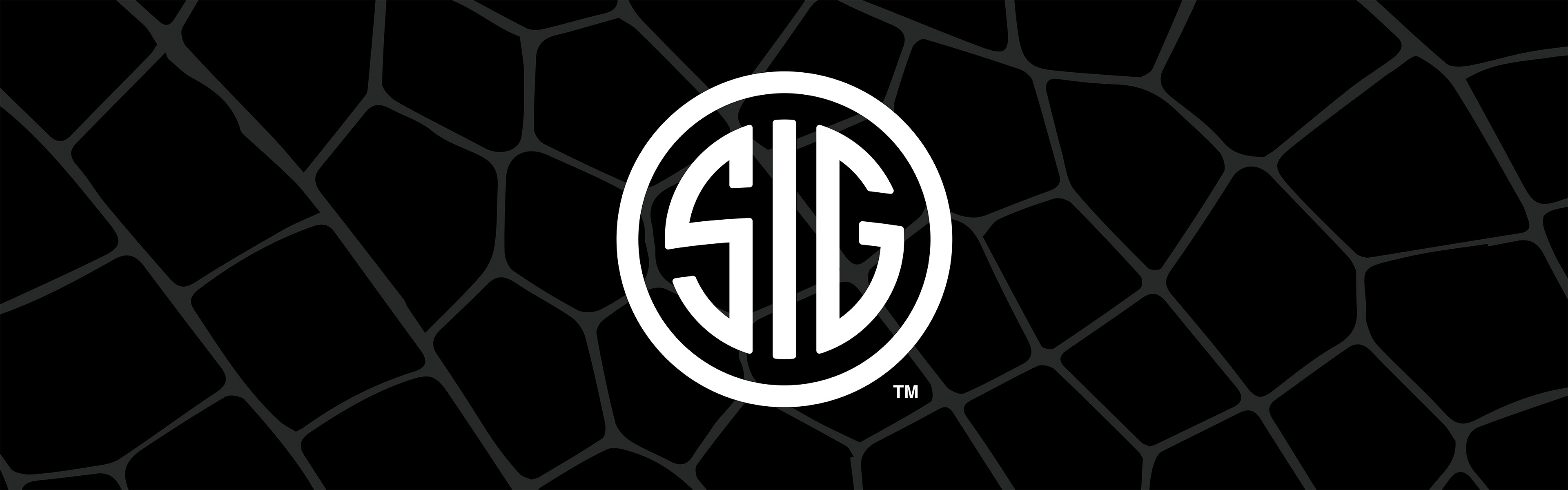 Sig Sauer Holsters