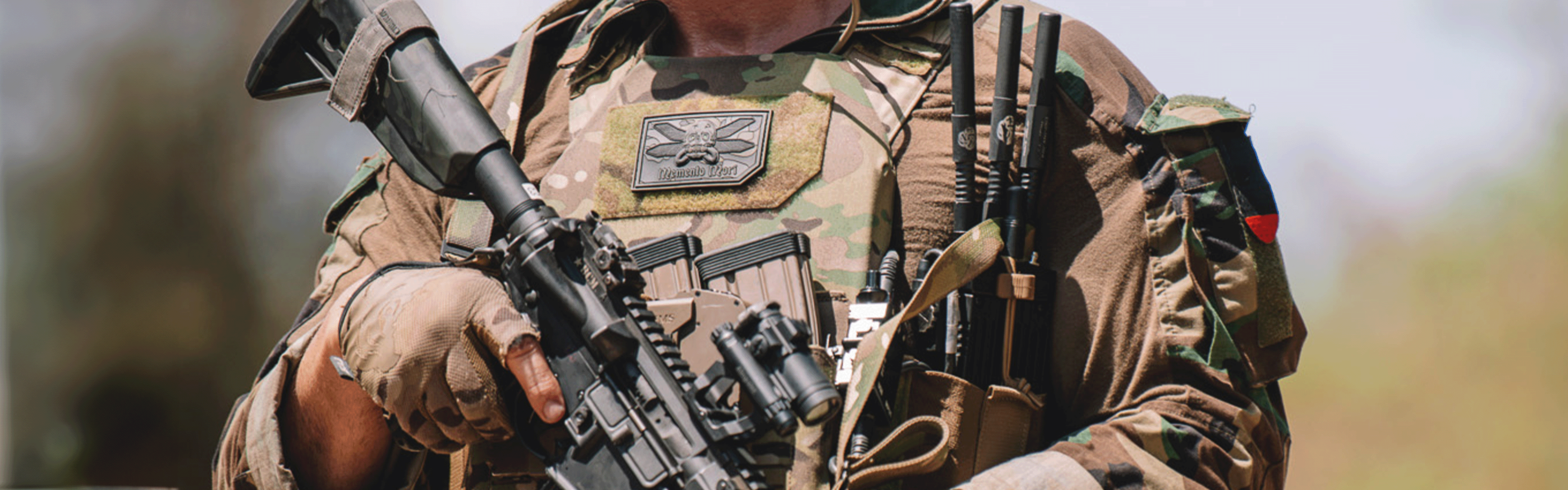 Thorax Incog Plate Carrier