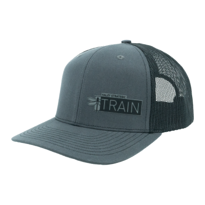 Train Snapback Hat - Grey